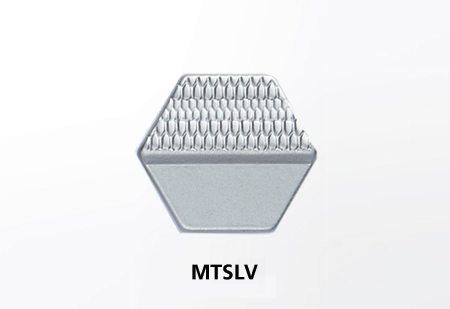 mtslv mtslv